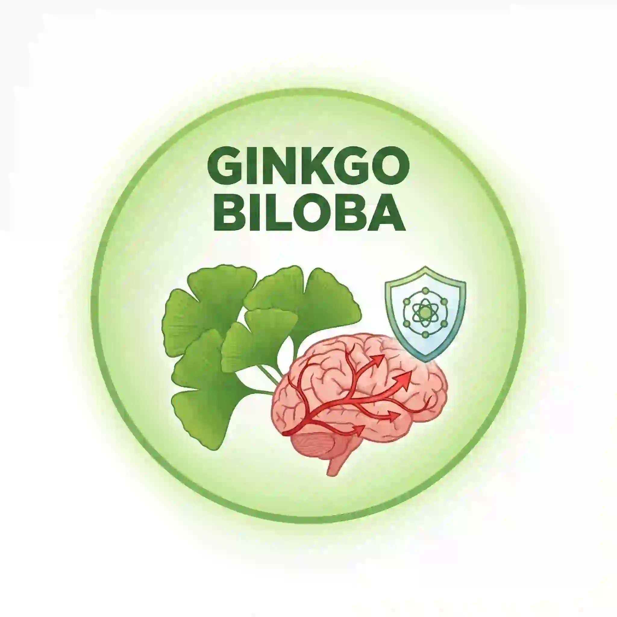Ginkgo Biloba leaf extract in Brain Savior