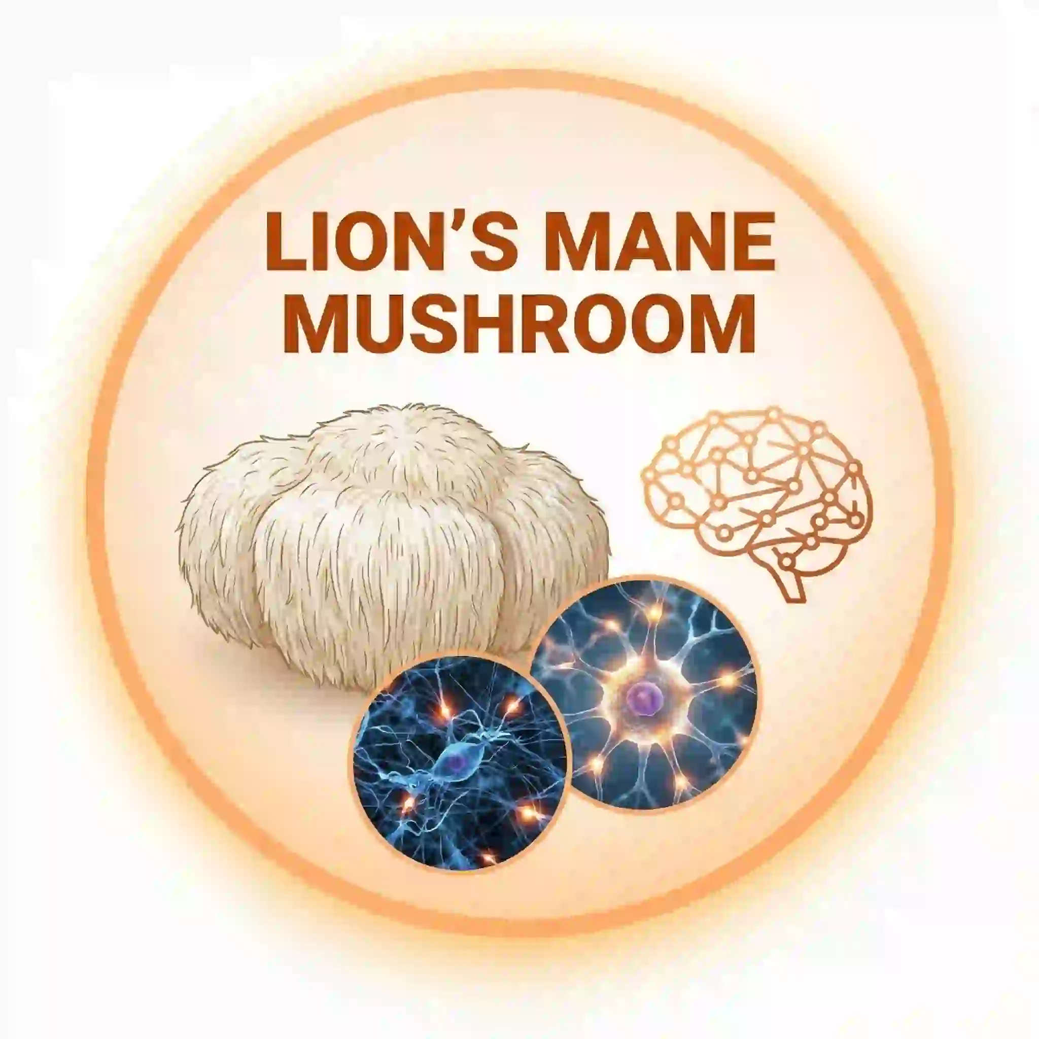 Lion's Mane Mushroom Brain Savior ingredient illustration for neuron resilience